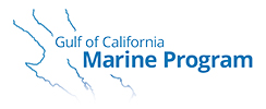 Gulf of California Marine Program