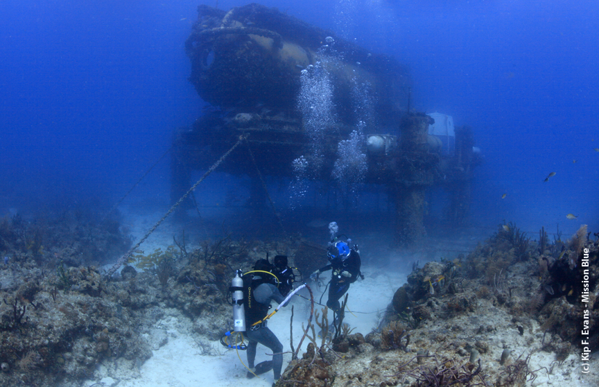 DJ And Sylvia Shooting