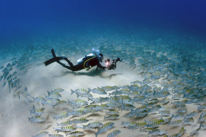 Circle-of-Fish_Cabo-PulmocKipEvans_9183