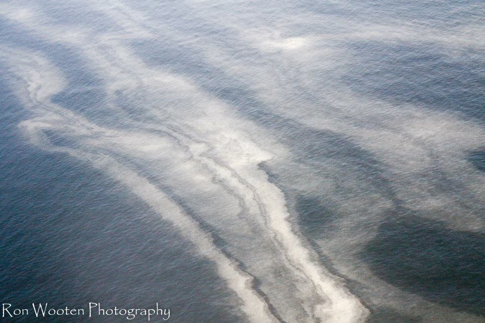 Photo: (c) Ron Wooten