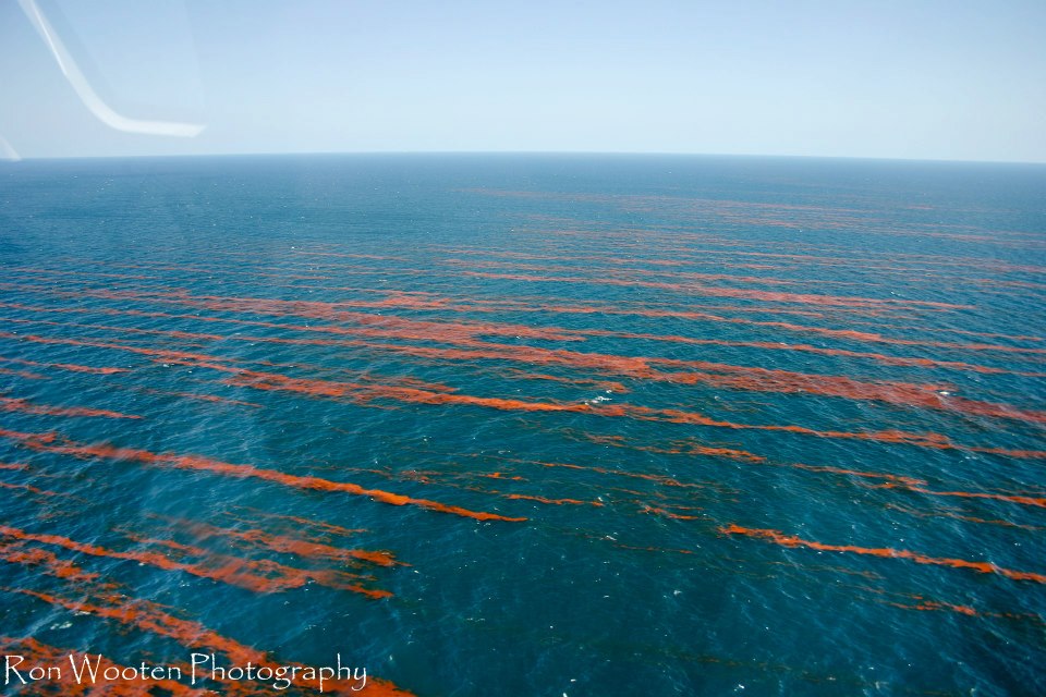 Crude Oil to the Horizon (c) Ron Wooten Photography