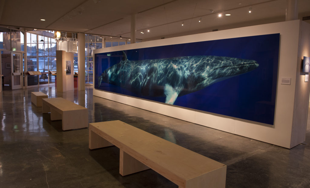 Austin's exhibition at the Museum of Monterey will be up through September 2, 2013