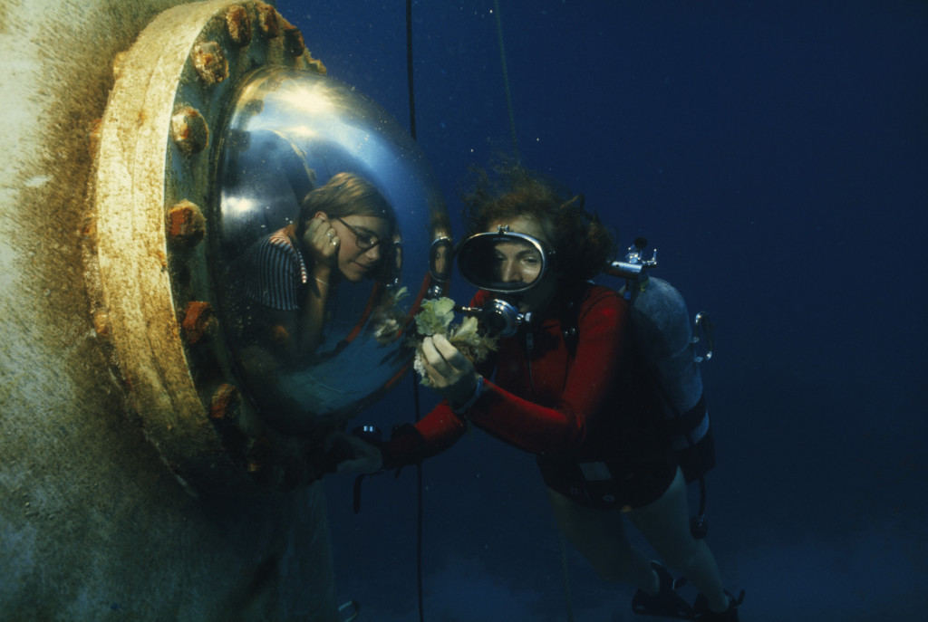 Sylvia A. Earle, National Geographic Explorer-in-Residence and Rosemary and Roger Enrico Chair for Ocean Exploration. Photo by Bates Littlehales © 2008 National Geographic