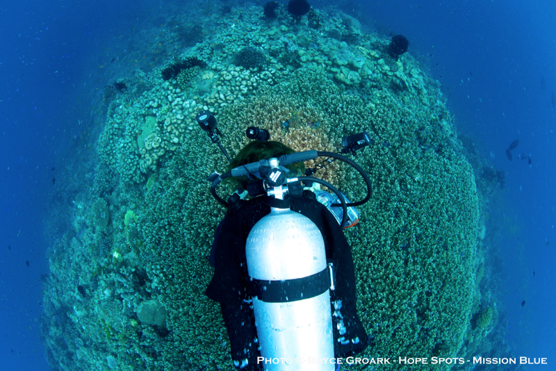 Photo:  Bryce Groark  and the Mission Blue film team (Hope Spots Media)