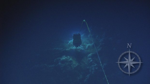 Courtesy of Ocean Exploration Trust and ECOGIG, a GOMRI-Funded Research Consortium