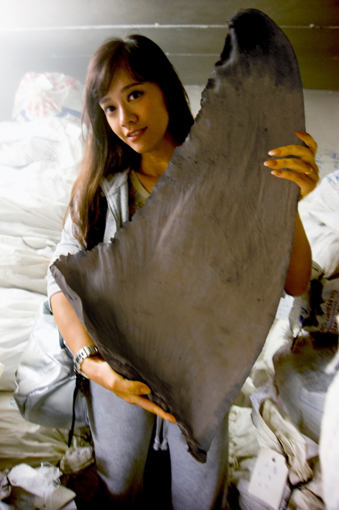 Sharon Kwok shark fin freezers Hong Kong 2011