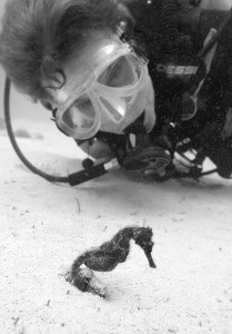 Photo: (c) Stephen Frink