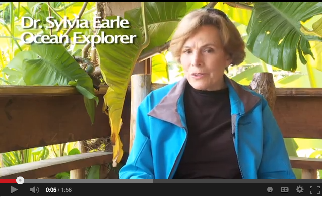 Screen Shot 2013-10-21 at 11.53.17 AM