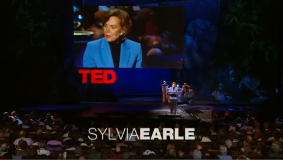 Screen Shot 2013-10-21 at 11.54.43 AM