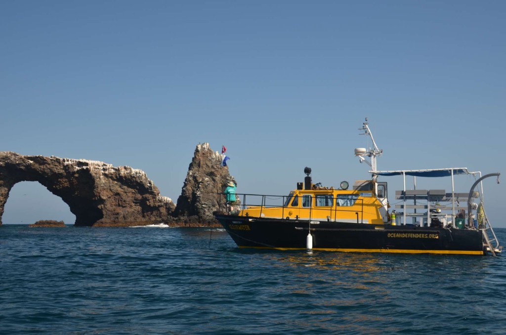 Photo (c) Ocean Defenders Alliance