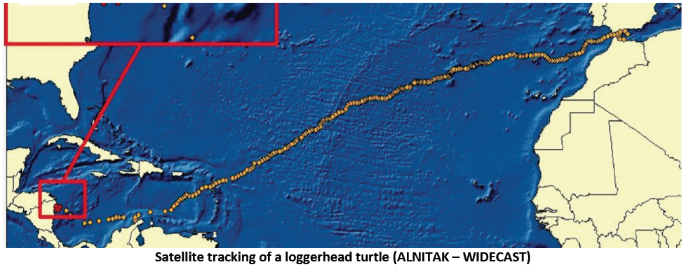 Screen Shot 2013-12-16 at 7.33.33 AM