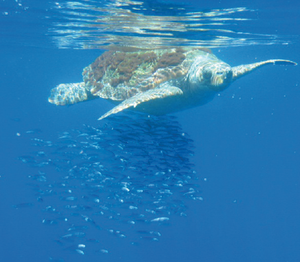 Screen Shot 2013-12-16 at 7.34.35 AM