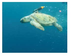 Screen Shot 2013-12-16 at 7.40.58 AM