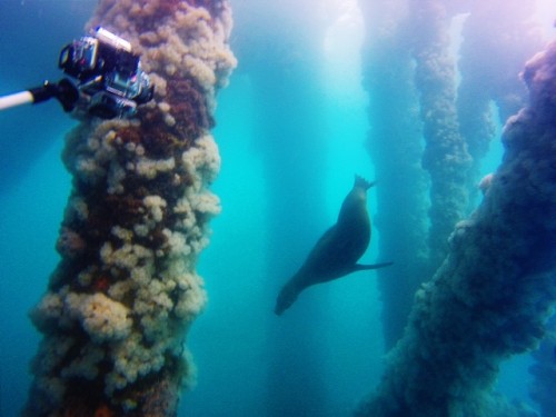 DCIM100GOPRO Processed with VSCOcam with c1 preset