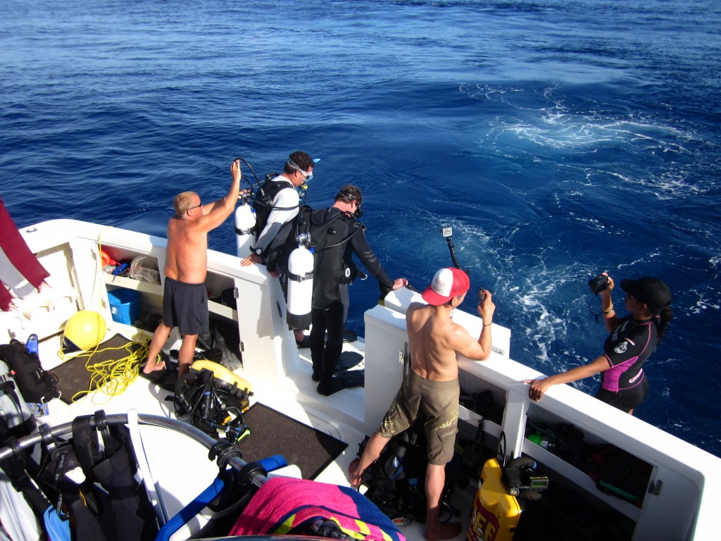 Bahamas Grouper Moon Expedition, Long Island Bahamas 20 13 Ocean CREST Al liance, Bahamas National Trust, BREEF, Dr. Craig Dahlgren Photo Credit: Joseph Ierna Jr