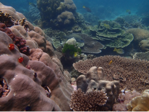 Screen Shot 2014-04-24 at 1.36.39 PM