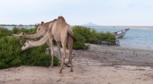 Screen Shot 2014-04-24 at 1.37.13 PM