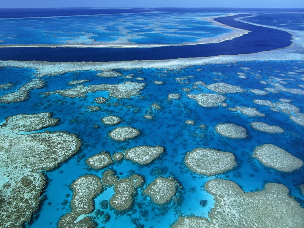 Australia_Great_Barrier_Reef_Marine_Park-1024x768