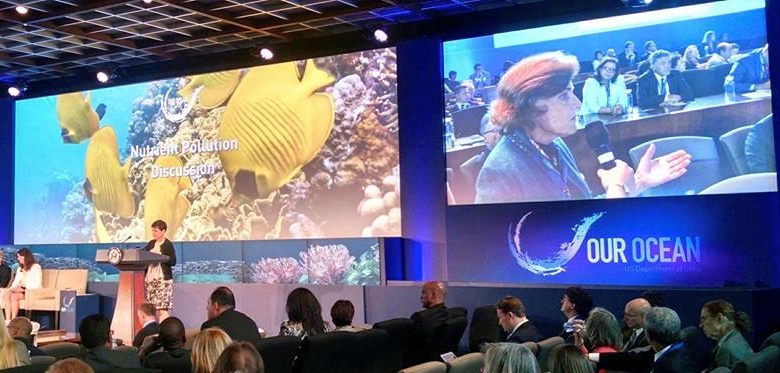 Photo: Jenifer Austin / Google Ocean