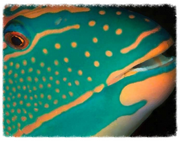 Screen Shot 2014-07-08 at 2.14.01 PM