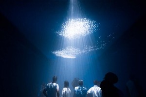 © Parley for the Oceans