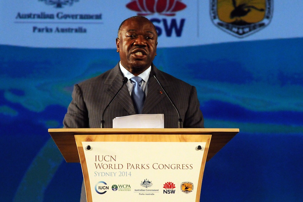 Gabon President Ali Bongo Ondimba. Photo by IISD/ENB