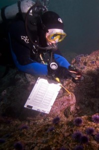 Photo- Kenneth Kopp (2)