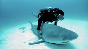 David Doubilet / National Geographic Creative