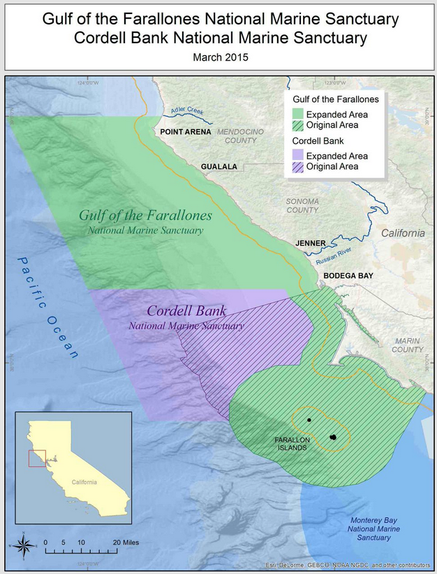 Screen Shot 2015-04-08 at 12.54.34 PM