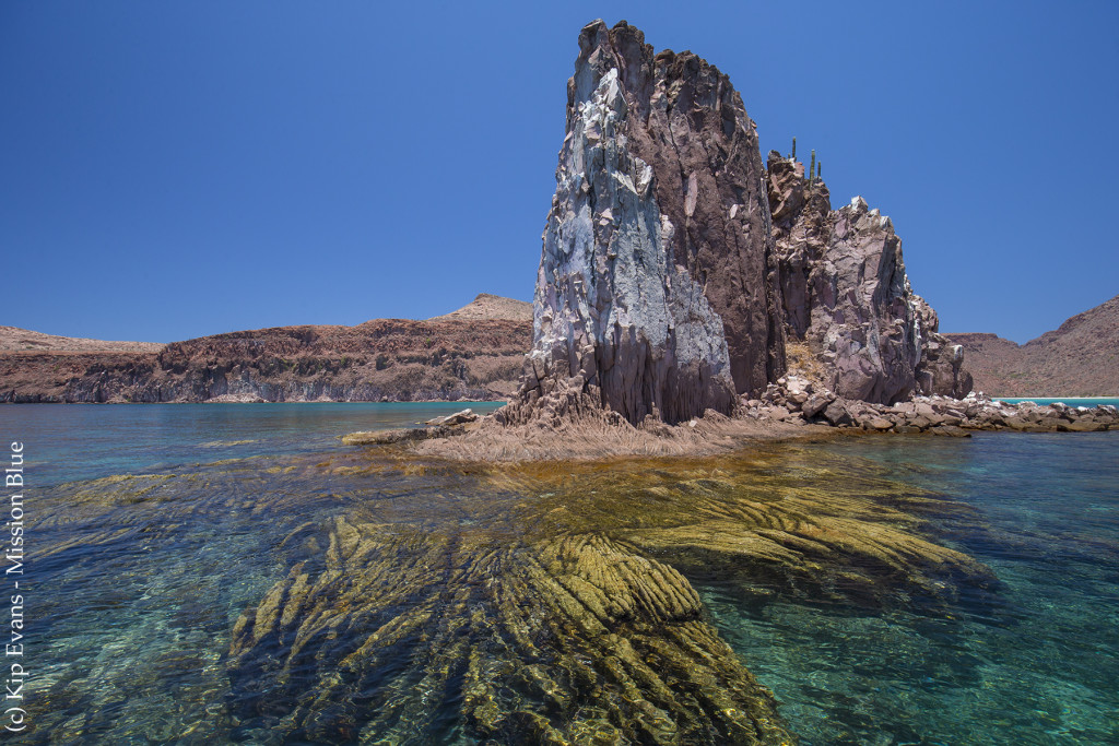 Coastline Near La Paz(c)KipEvansMissionBlueAG4V9483