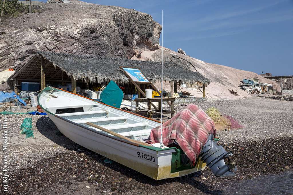 Fishing Camp with MPA (c)KipEvansMBAG4V9743