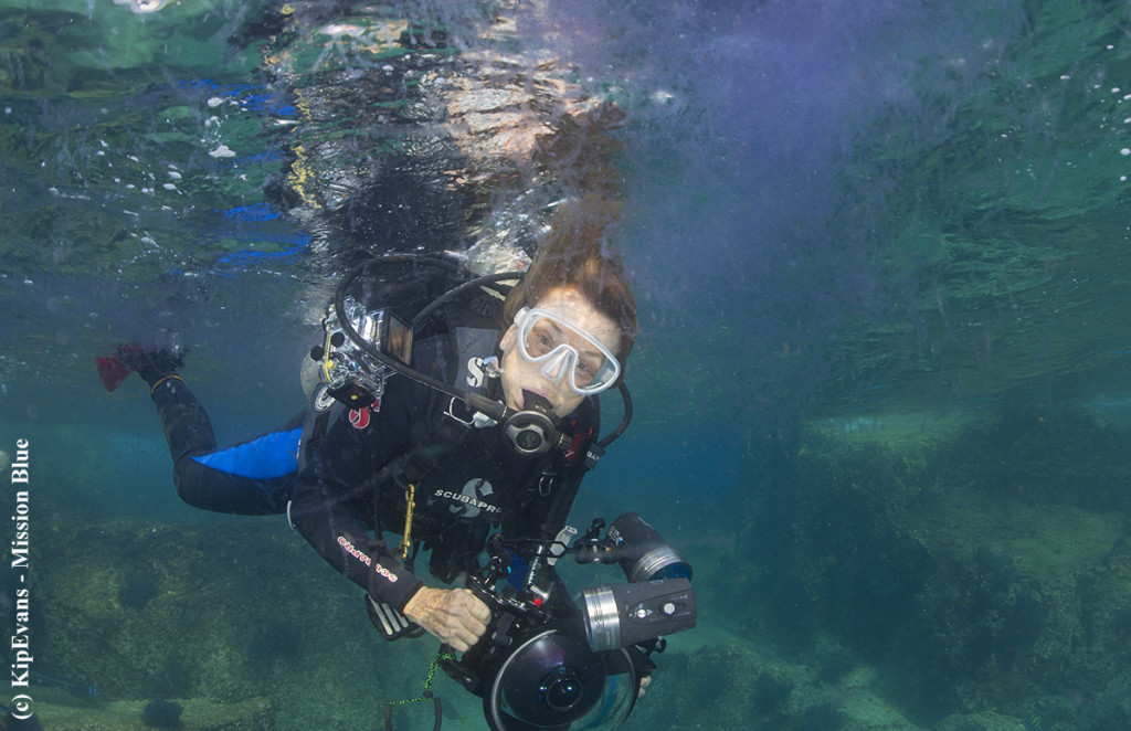 Sylvia with SalpsAG4V9973