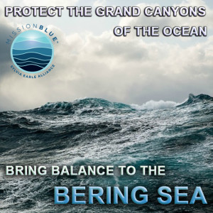 BeringOpenOcean-Square