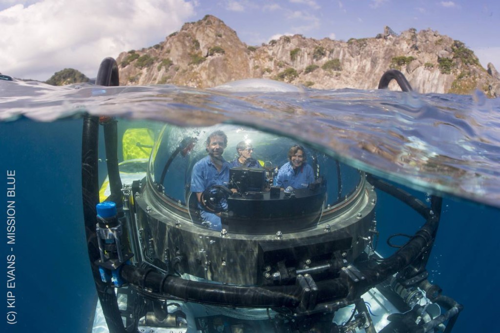 e0a8dcb3-0720-48c9-a1af-08ba6f561ab6