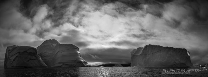 12009762_10153575940435502_3372580816531594605_n