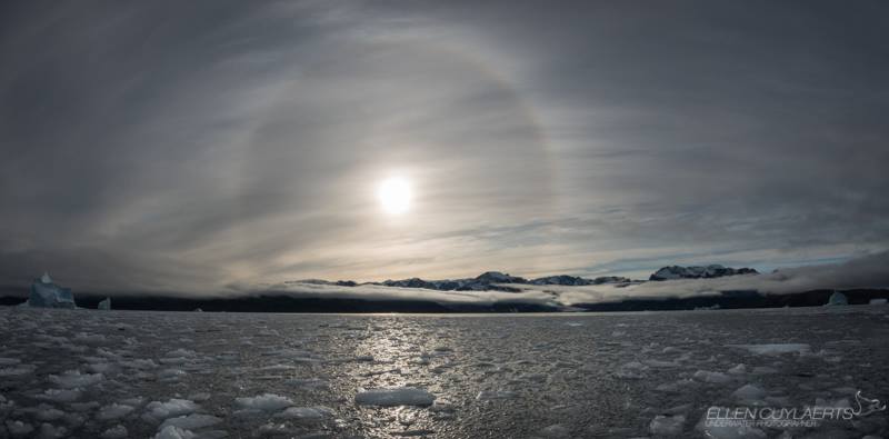 12037933_10153579774140502_8369399537441155223_n