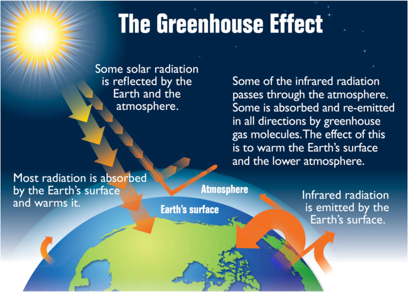 GreenhouseEffect