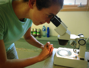 Teresa Carey collecting data © Ben Carey