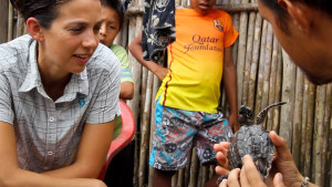 Observing a sea turtle hatchling © Chris Rodriguez