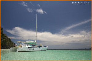 Research catamaran SeaNOMAD. Courtesy Project Manaia