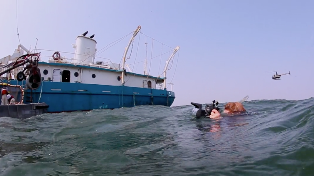 Screen Shot 2015-12-16 at 11.21.26 AM