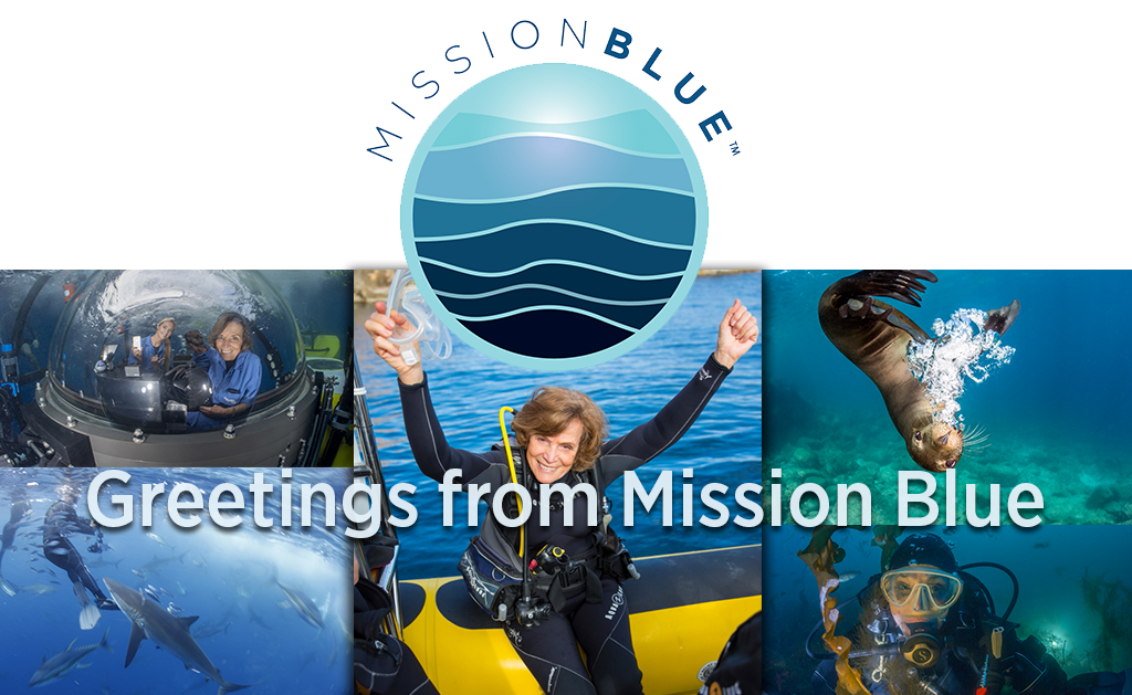 c439725b-e6a3-4efa-89be-ce63bd719dd8