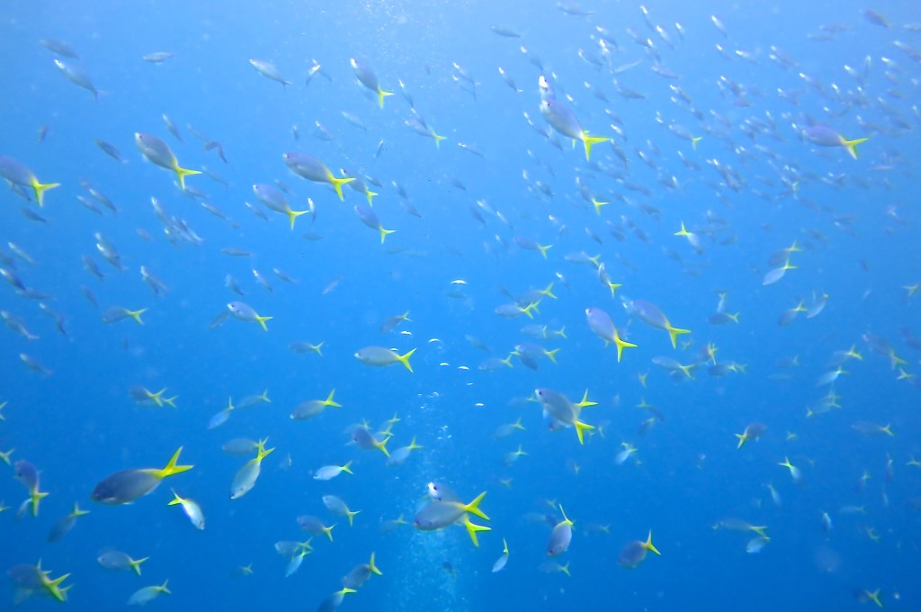 Photo: Kristin Hettermann