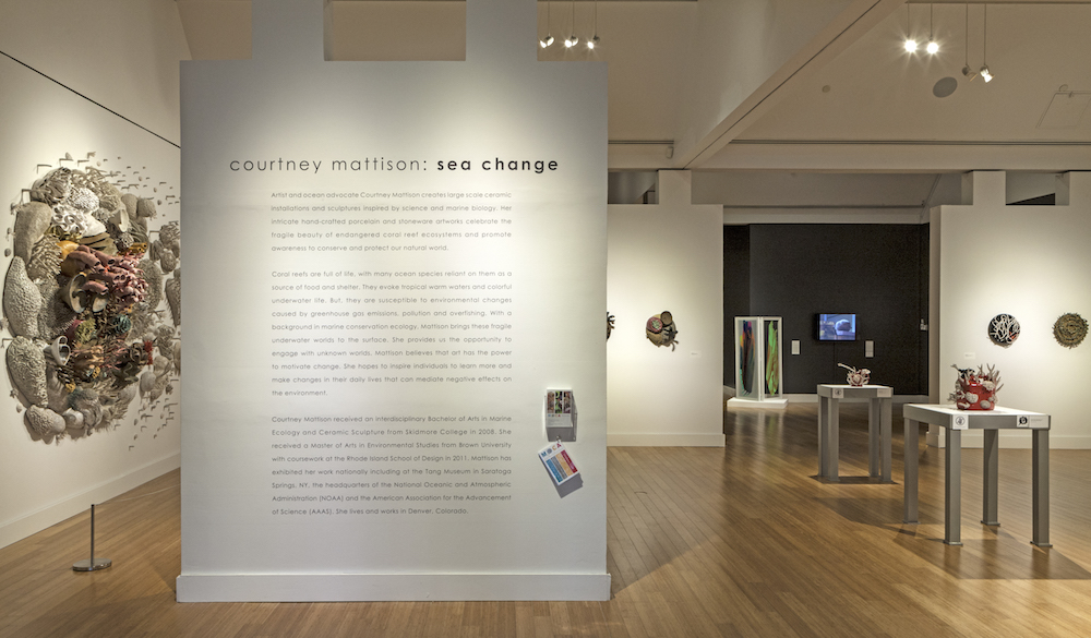 sea change at virginia moca • image © glen mcclure / virginia moca