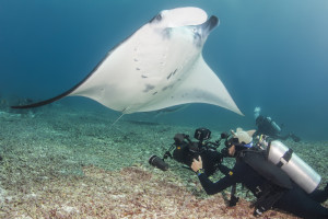 Image courtesy Ocean First Education