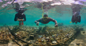 Screen Shot 2016-08-29 at 8.50.17 AM