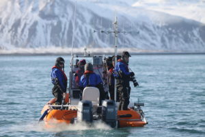 Team records killer whale observations from a zodiac. @ Sara Tavares 