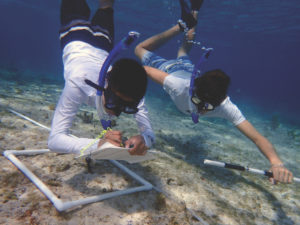 Volunteers conducting coral reef surveys.