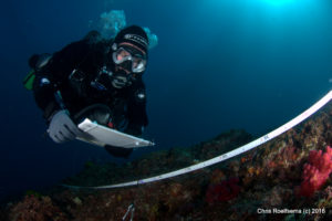 20140208_plea_chris-057