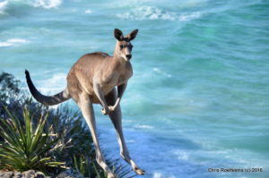 20141018_straddienielsellenrugby_-125